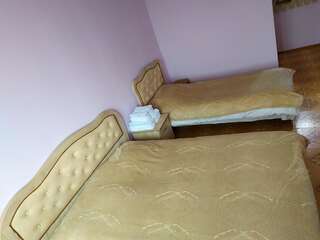 Отель ALEX Hotel in Shinuhayr Shinuhayr Двухместный номер с 2 отдельными кроватями и видом на горы-4