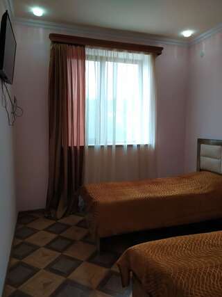 Отель ALEX Hotel in Shinuhayr Shinuhayr Стандартный двухместный номер с 2 отдельными кроватями и видом на горы-1