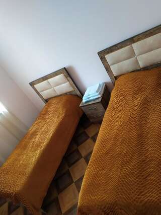 Отель ALEX Hotel in Shinuhayr Shinuhayr Стандартный двухместный номер с 2 отдельными кроватями и видом на горы-2